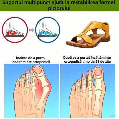 🎁Ultima zi la jumătate de preț, nu ratați|Sandale ortopedice cu design ergonomic și suport pentru bolta plantară✅️ pentru mers fără durere👞